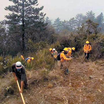 Incendios forestales alertan a Querétaro