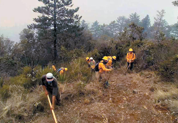 Incendios forestales alertan a Querétaro