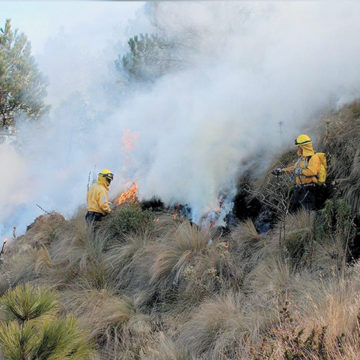 Ocupó Edoméx el primer lugar en incendios forestales en 2022