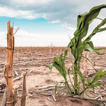81.94% del territorio nacional sufre por sequía y aún no llega lo peor del estiaje