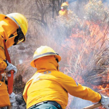 Preocupante el incremento de incendios forestales en Edoméx: Probosque