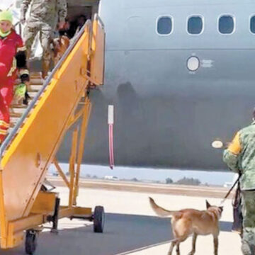 Regresan de Turquía rescatistas y binomios caninos