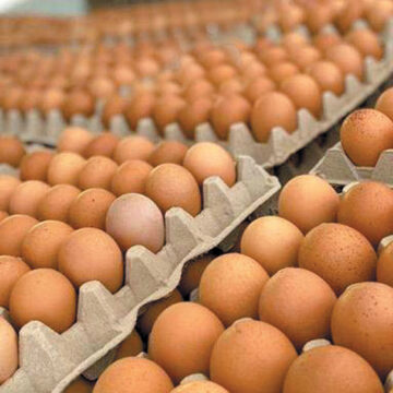 Se incrementa el precio del huevo hasta los 58 pesos