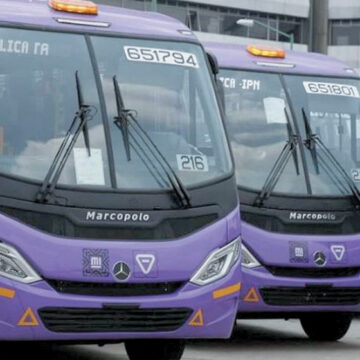 Tendrán en Xochimilco nuevo transporte: Semovi