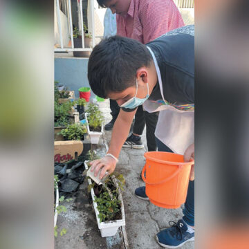 Exhorta JAPEM a ciudadanía a adquirir mini huertos cultivados por infantes y jóvenes autistas
