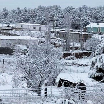 Emiten en Chihuahua alerta amarilla por nevadas