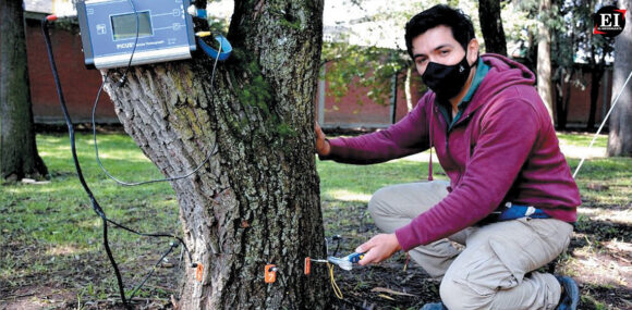Reciben capacitación en manejo de áreas verdes y arbolado más de 600 servidores públicos