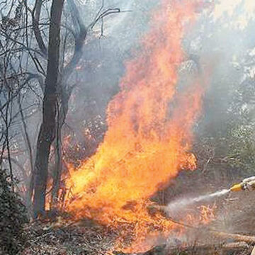 Acumula Estado de México 551 incendios forestales