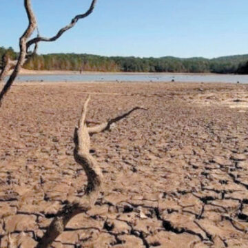 Amenaza sequía de manera alarmante la producción agrícola en el país
