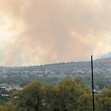 De 20 a 50 años tardará la recuperación de zonas afectadas por incendios forestales