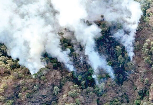 Hay 95 incendios forestales activos en México: Conafor