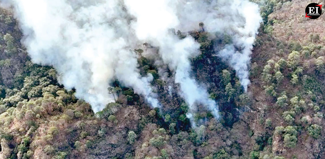 Hay 95 incendios forestales activos en México: Conafor
