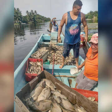 Denuncian ecocidio en Veracruz