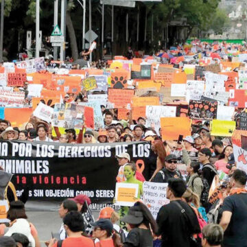 Marcha por los Animales; miles exigen alto al maltrato animal