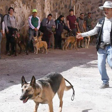 Tlalpan arranca el segundo Taller de Rescate para Perros