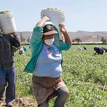 Más de 4 millones de mujeres trabajan en el campo, revela Censo Agropecuario