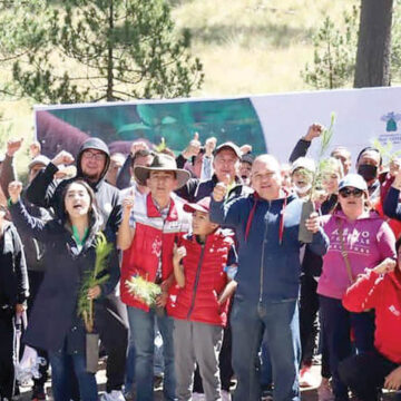 Zinacantepec avanza en su compromiso ambiental con labor de reforestación