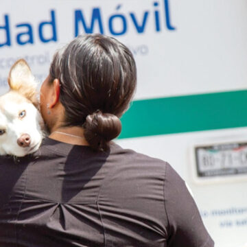 Combaten abandono de animales a través de 2ª Jornada de Esterilización Masiva en Latinoamérica