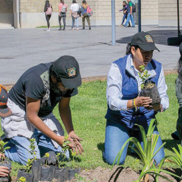 Cumple UAEMéx meta de reforestación 2023