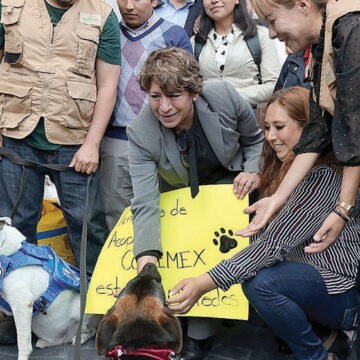 “Por los que no tienen voz”; Gobernadora Delfina Gómez enviará alimento para mascotas afectadas por huracán Otis