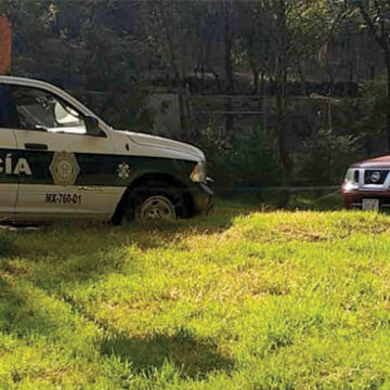 Sigue la matanza de perros en Xochimilco