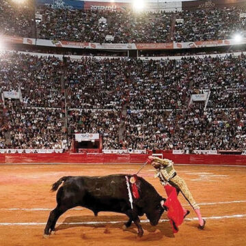 SUSPENDEN LAS CORRIDAS DE TOROS EN LA PLAZA MÉXICO GRACIAS A UN AMPARO