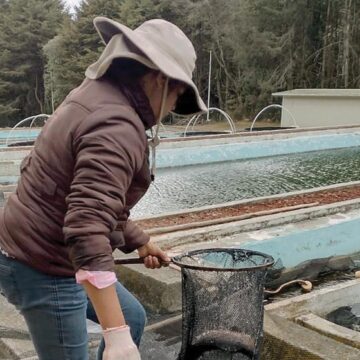 Consumirán mexiquenses más de 75 mil toneladas de pescado en Semana Santa