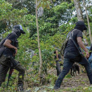 Grupo paramilitar Los Petules ataca a Comunidades en Ocosingo, Chiapas