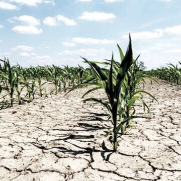Sufre el 60% del territorio nacional por condiciones de sequía: Conagua