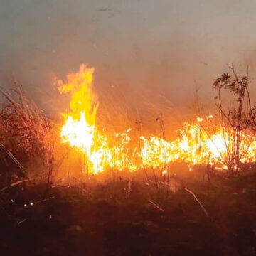 Siguen imparables los incendios forestales en el Estado de México