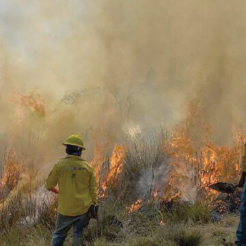 Los incendios forestales se han convertido en una pesadilla en el Estado de México