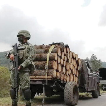 Realizan operativo contra tala clandestina en zona de Ocuilan