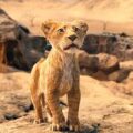 Disney estrena primer tráiler del live action de “Mufasa: El Rey León”