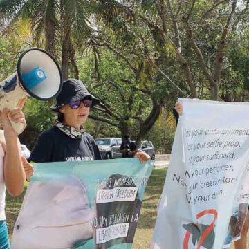 Se prepara manifestación en pro de delfines en Cancún