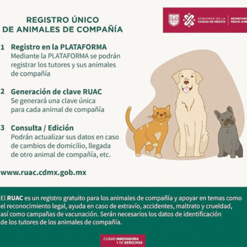 Se multará con 3,100 pesos a quien no registre a su mascota en la CDMX