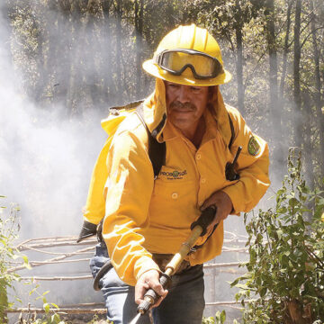 Edoméx es segundo lugar en detección de incendios forestales