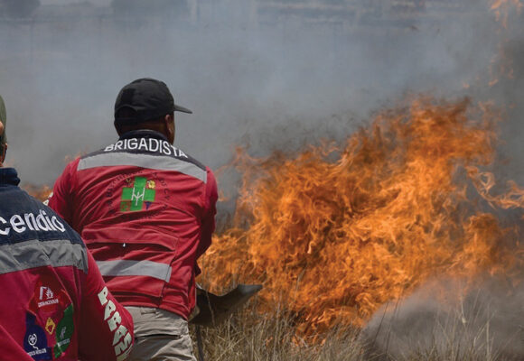 Protección Civil y Probosque del Edoméx realizan capacitaciones para combatir incendios forestales