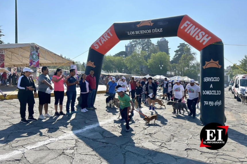 Todo un éxito el evento “Corre, trota o camina con tu peludo” en Jocotitlán