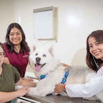 Centro Universitario Amecameca de la UAEMéx ofrece servicios médicos veterinarios de calidad