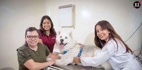 Centro Universitario Amecameca de la UAEMéx ofrece servicios médicos veterinarios de calidad