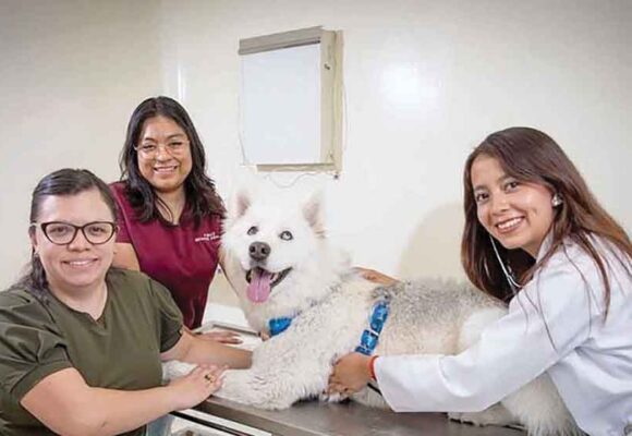 Centro Universitario Amecameca de la UAEMéx ofrece servicios médicos veterinarios de calidad
