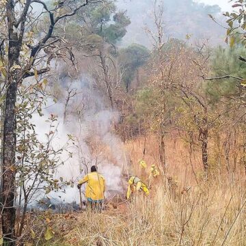 Gobierno despliega Mando Unificado con 154 brigadistas para combatir incendios en Valle de Bravo