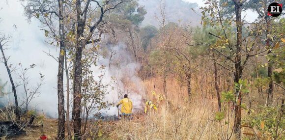 Gobierno despliega Mando Unificado con 154 brigadistas para combatir incendios en Valle de Bravo