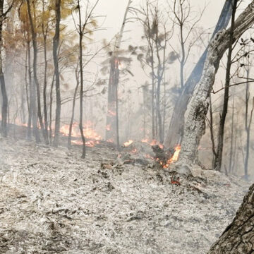 Era de esperarse: activan Plan Marina por incendios forestales en Valle de Bravo