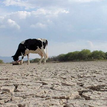 A pesar de las lluvias, el 33.3% del Edoméx sufre de sequía extrema