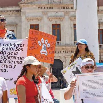 Se suman cientos contra del maltrato animal en Pachuca