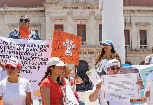 Se suman cientos contra del maltrato animal en Pachuca