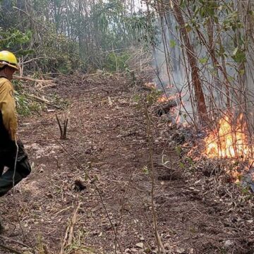 Gobierno de Mara Lezama combate fuerte incendio forestal en Bacalar