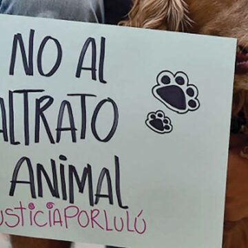 Crearán registro de maltratadores de animales en la Ciudad de México