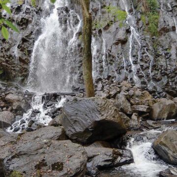 Invita Secretaría del Medio Ambiente a respetar y cuidar a la Tierra